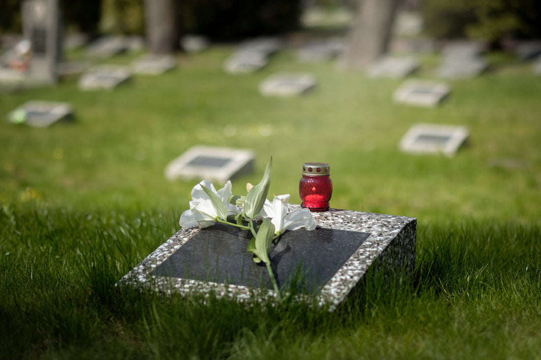 Cremation VS Memorial VS Funeral: Differences You Must Know Before Choosing