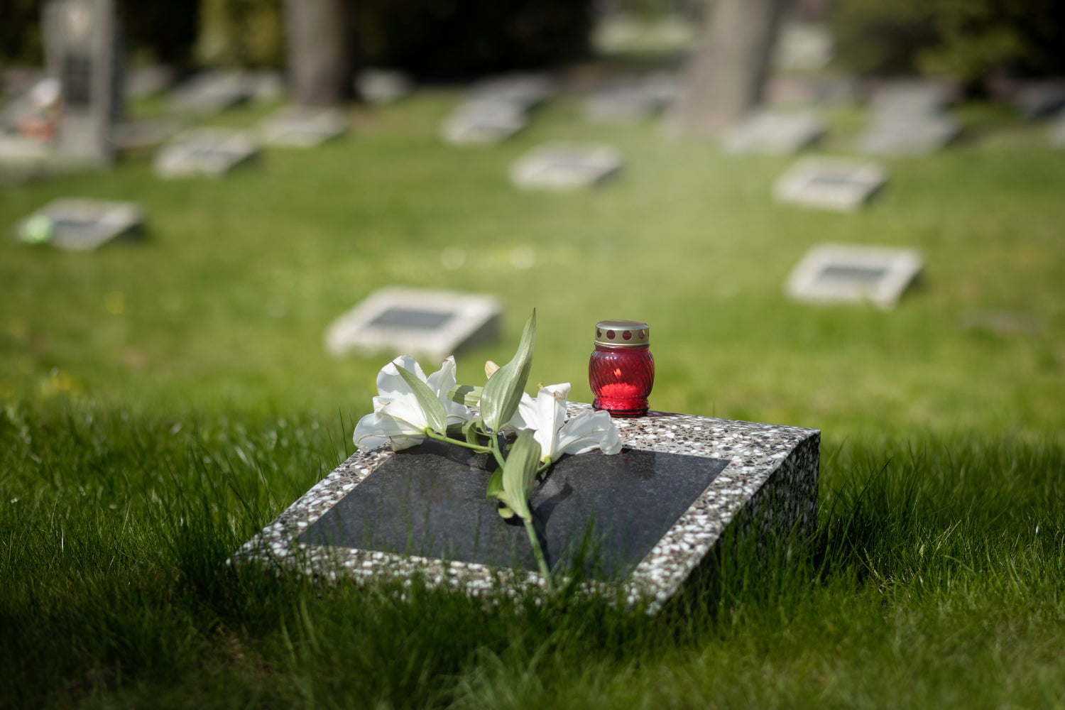 Cremation VS Memorial VS Funeral: Differences You Must Know Before Choosing