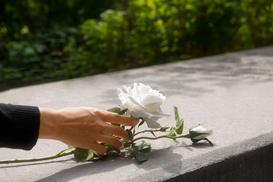 Cremation VS Memorial VS Funeral: Differences You Must Know Before Choosing