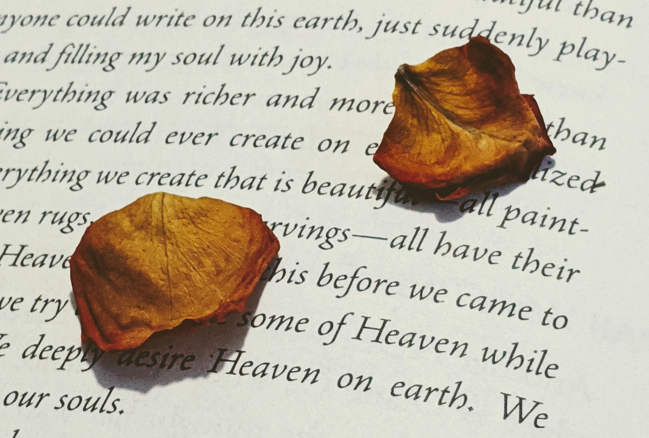Best Memorial Quotes for Mother and Father: 150+ Heartfelt Tributes to Honor Their Memory