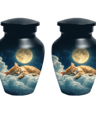 Cat Memorial Urn for Mom | Moon Cat Cremation  Large Urn for Ashes- Funeral Keepsake Urn