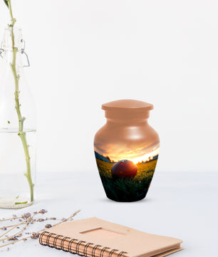 Football Urn for Dad – Custom Football Cremation Urns for Ashes |  Sports Memorial  Keepsake for Father,
