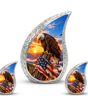 Eagle Cremation Urn for Dad - American Flag Eagle Memorial Keepsake Urn