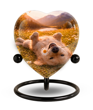 Personalized Dog Urn for Ashes, Adult Cremation Urn for Human Ashes