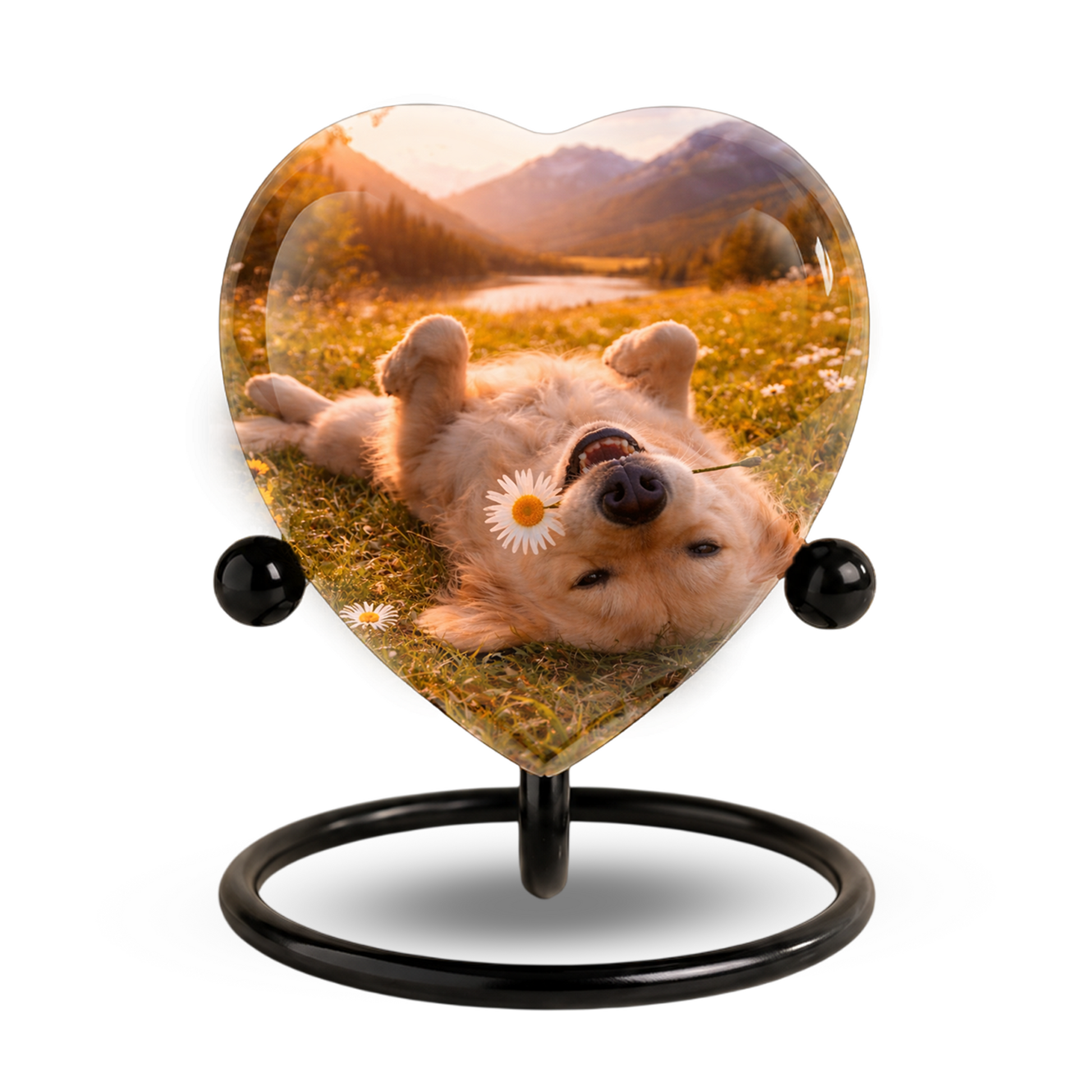 Personalized Dog Urn for Ashes, Adult Cremation Urn for Human Ashes