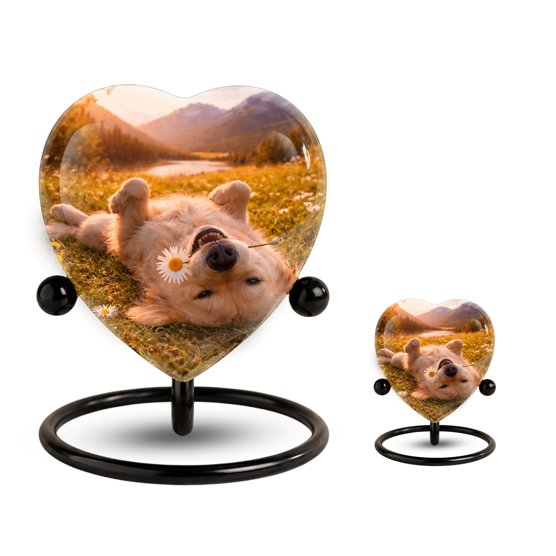 Personalized Dog Urn for Ashes, Adult Cremation Urn for Human Ashes