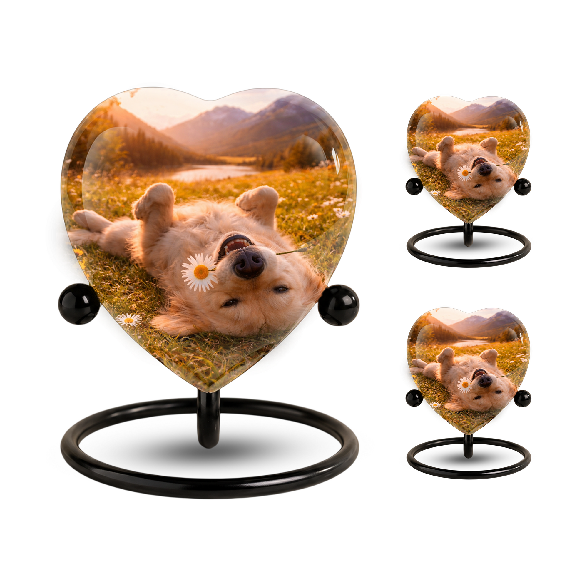 Personalized Dog Urn for Ashes, Adult Cremation Urn for Human Ashes