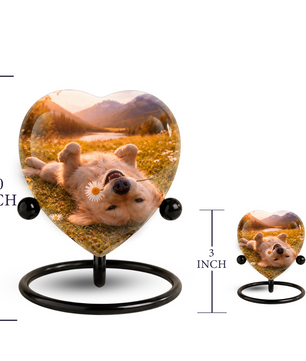Personalized Dog Urn for Ashes, Adult Cremation Urn for Human Ashes