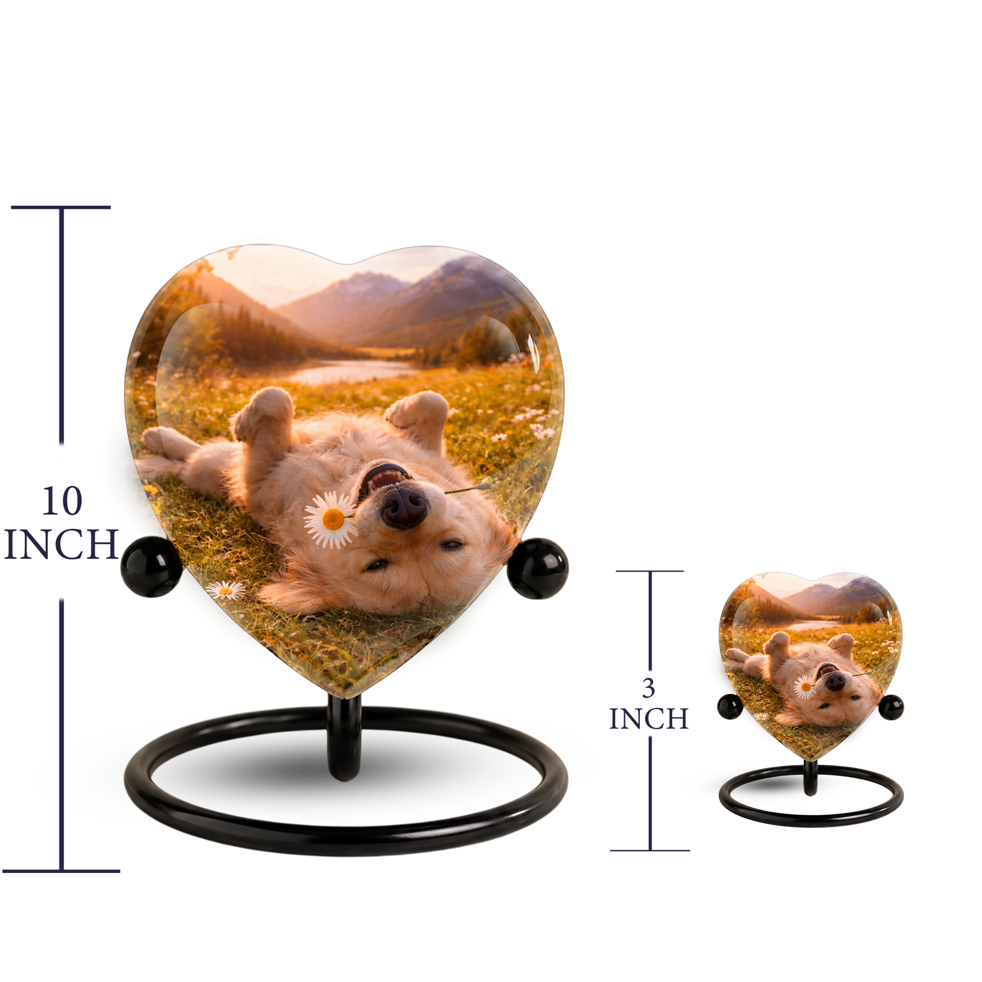 Personalized Dog Urn for Ashes, Adult Cremation Urn for Human Ashes