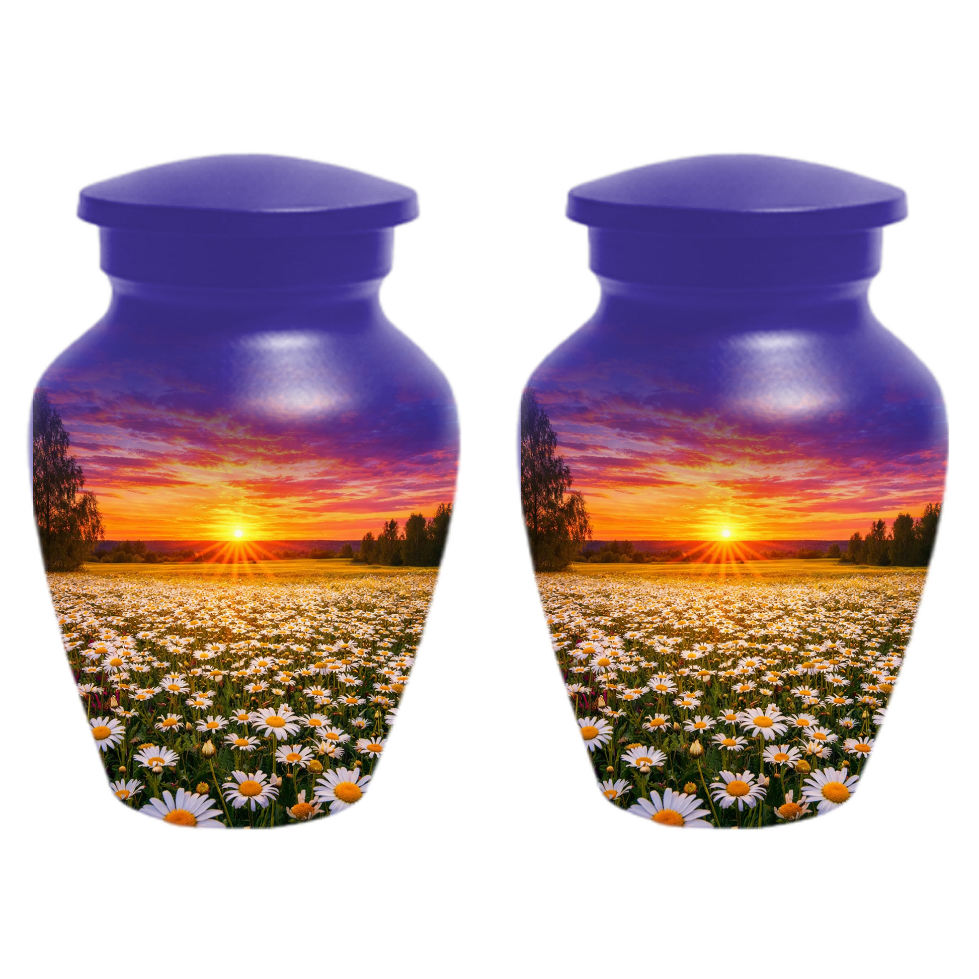 Personalized Daisy Sunset Cremation Urn | Adult, Large, Mini & Keepsake Urn for Human Ashes
