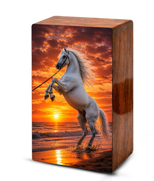 Horse Urn For Human Ashes - Sunset Beach Western Keepsake Urns For Adults