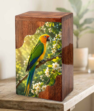 Wooden Cremation Urn for Human Ashes | Sun Conure Parrot Wooden Urn