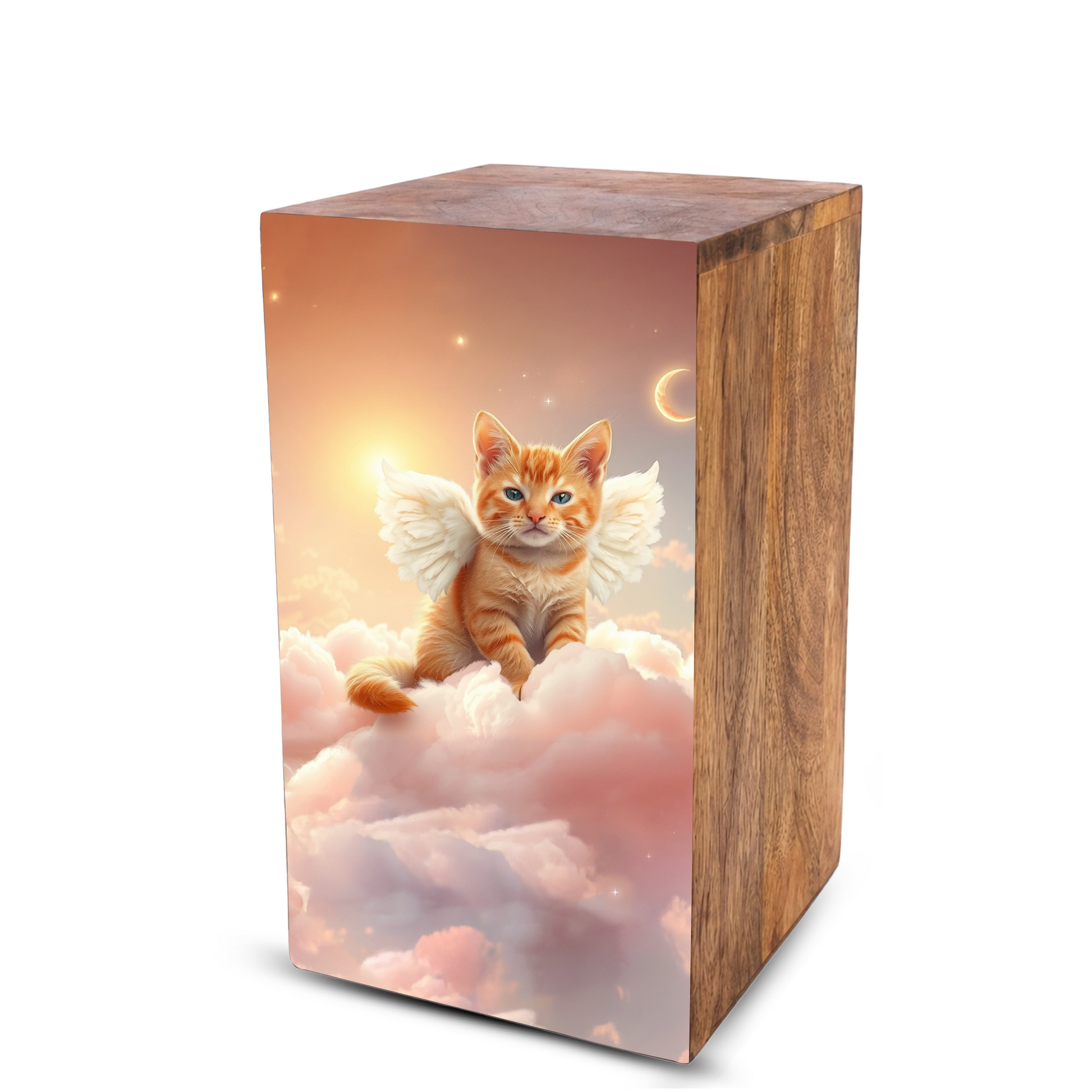 Orange Cat Urn For Ashes - Kitten Keepsake Urns Box For Pet Memorial